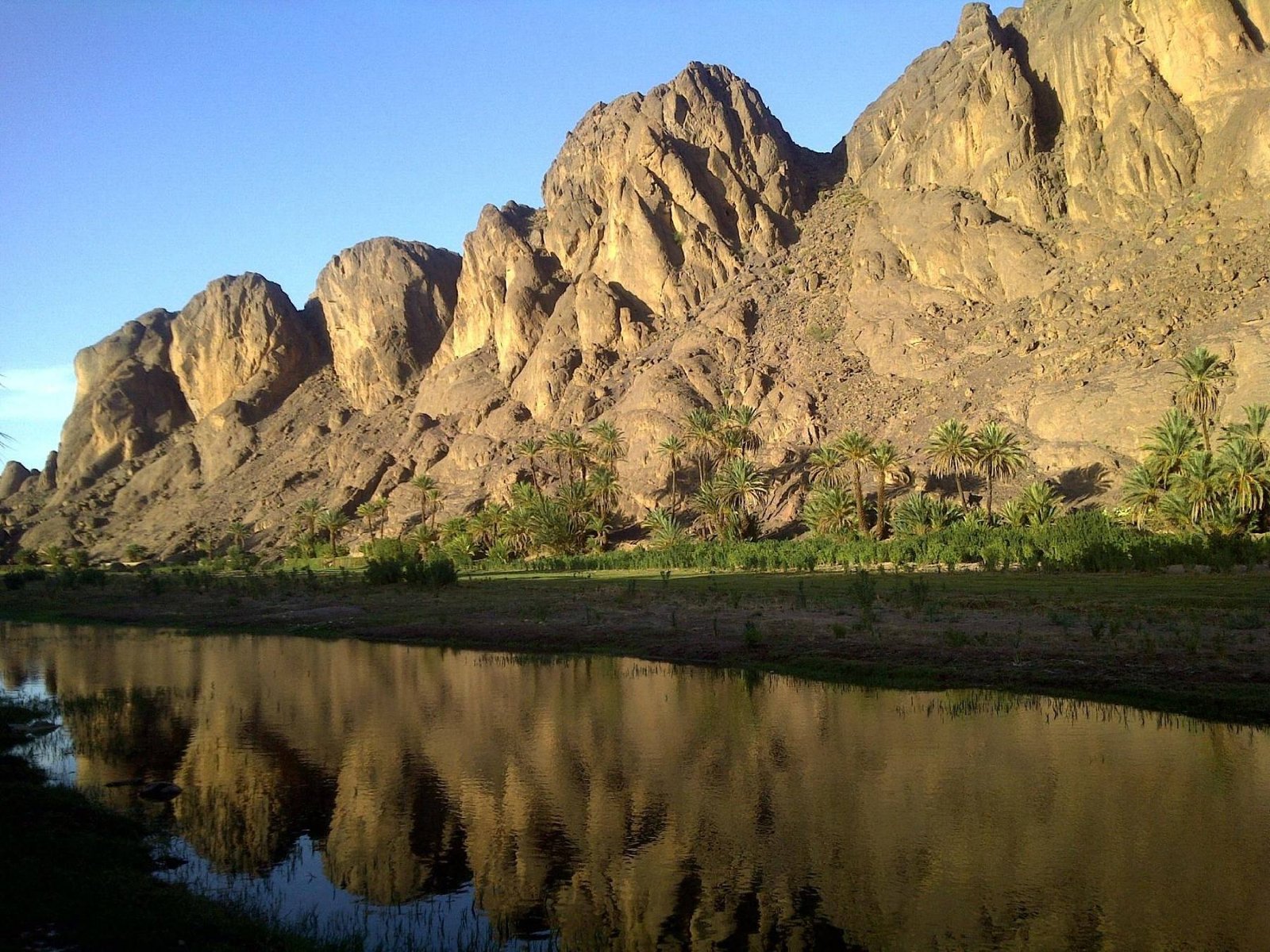 Palm trees reflected in a quiet oasis in Morocco