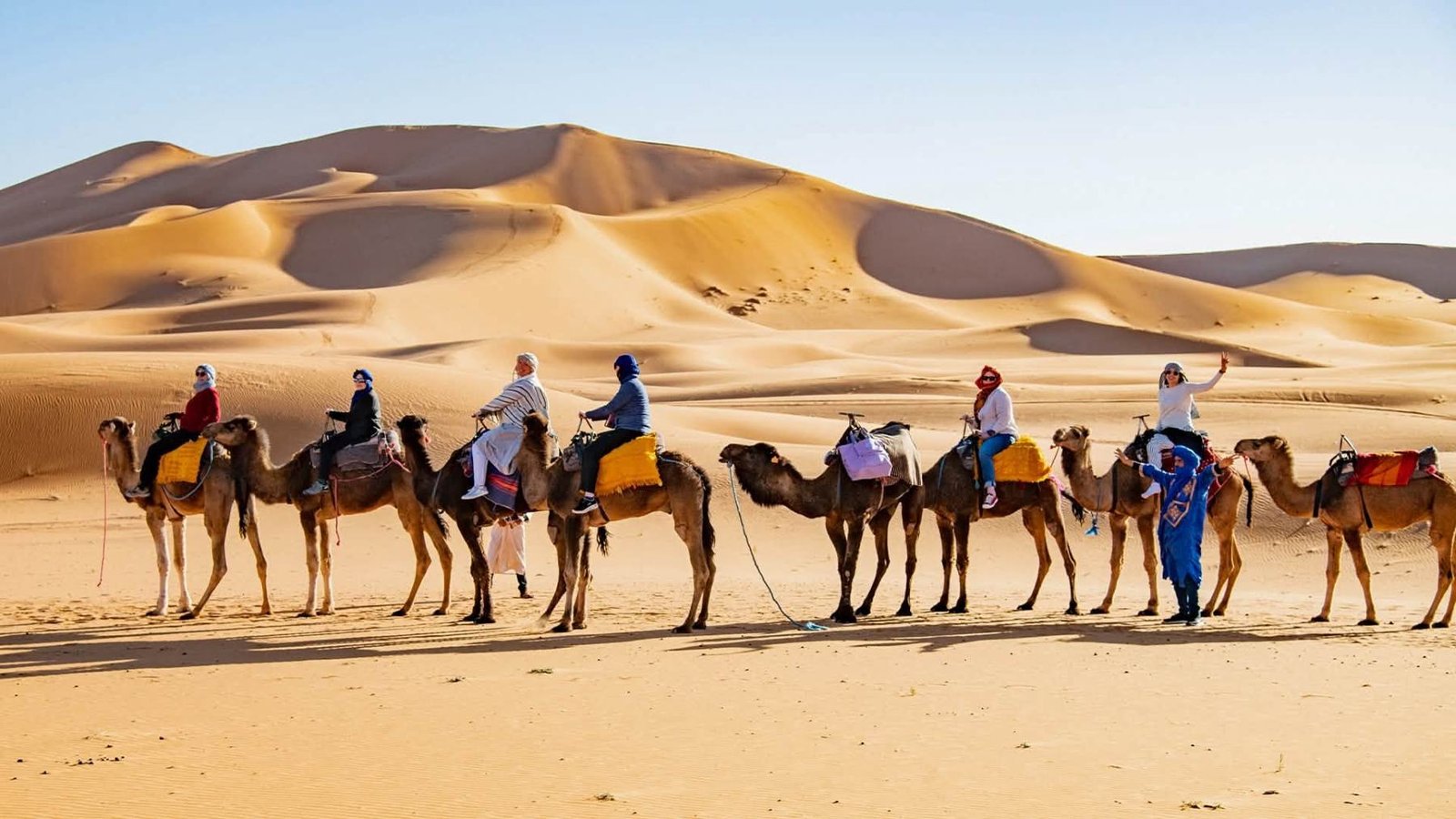 Camel caravan crossing the Erg Chebbi dunes on a luxury desert tour in Morocco